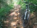 bici 029B